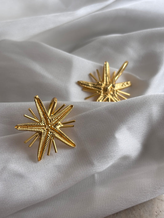 Start Fish Hair Pins