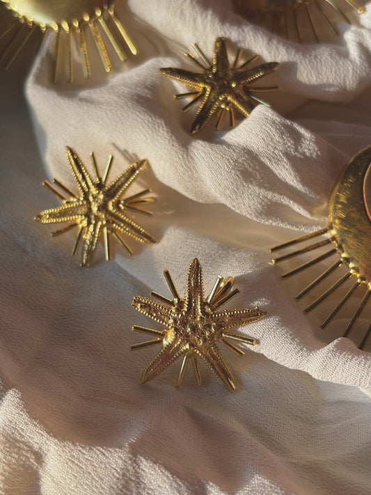Sea shells - Hair accessories