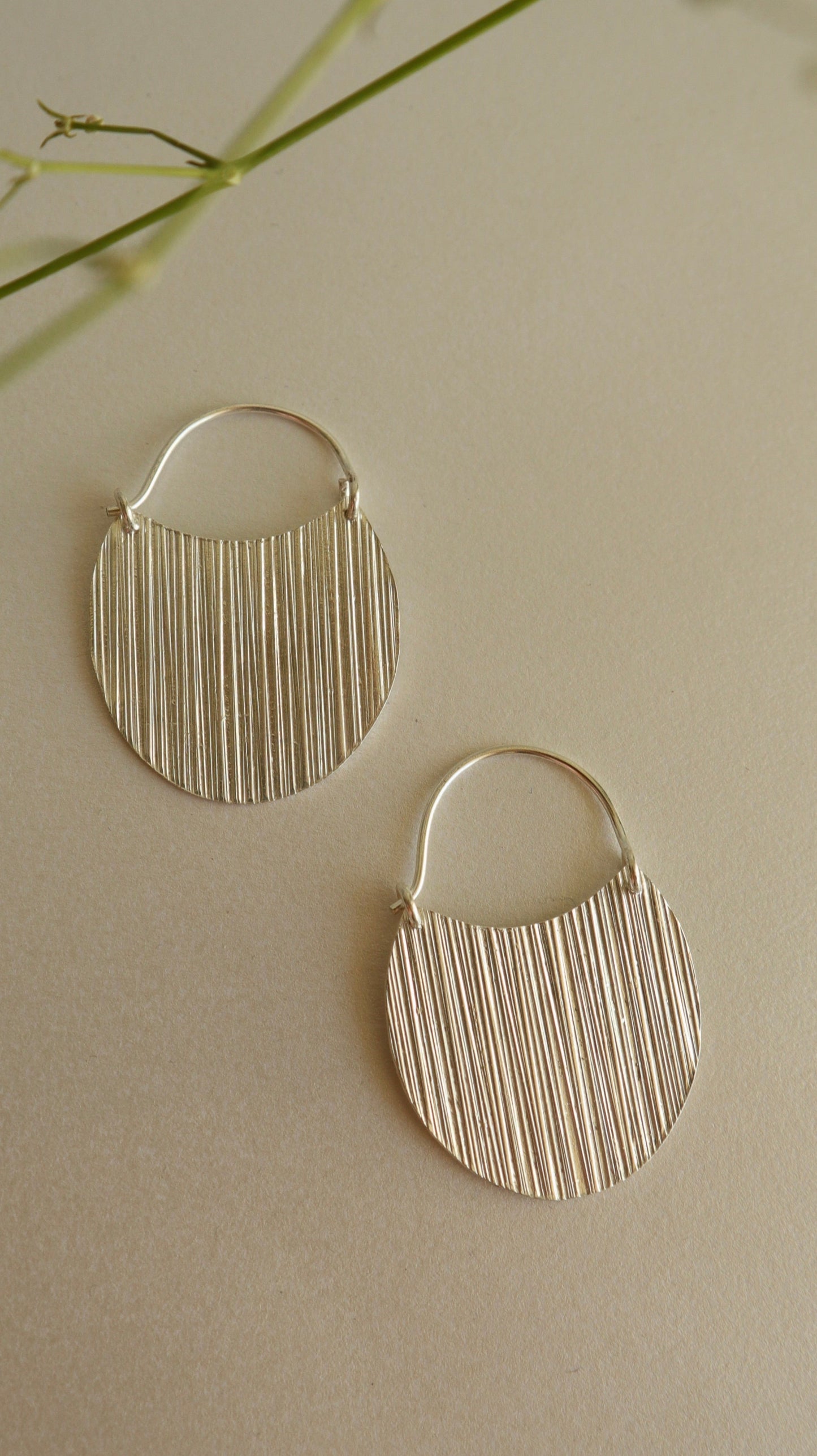 A pair of silver hoop earrings with a matted finish, placed on a beige surface with some plant foliage in the background.