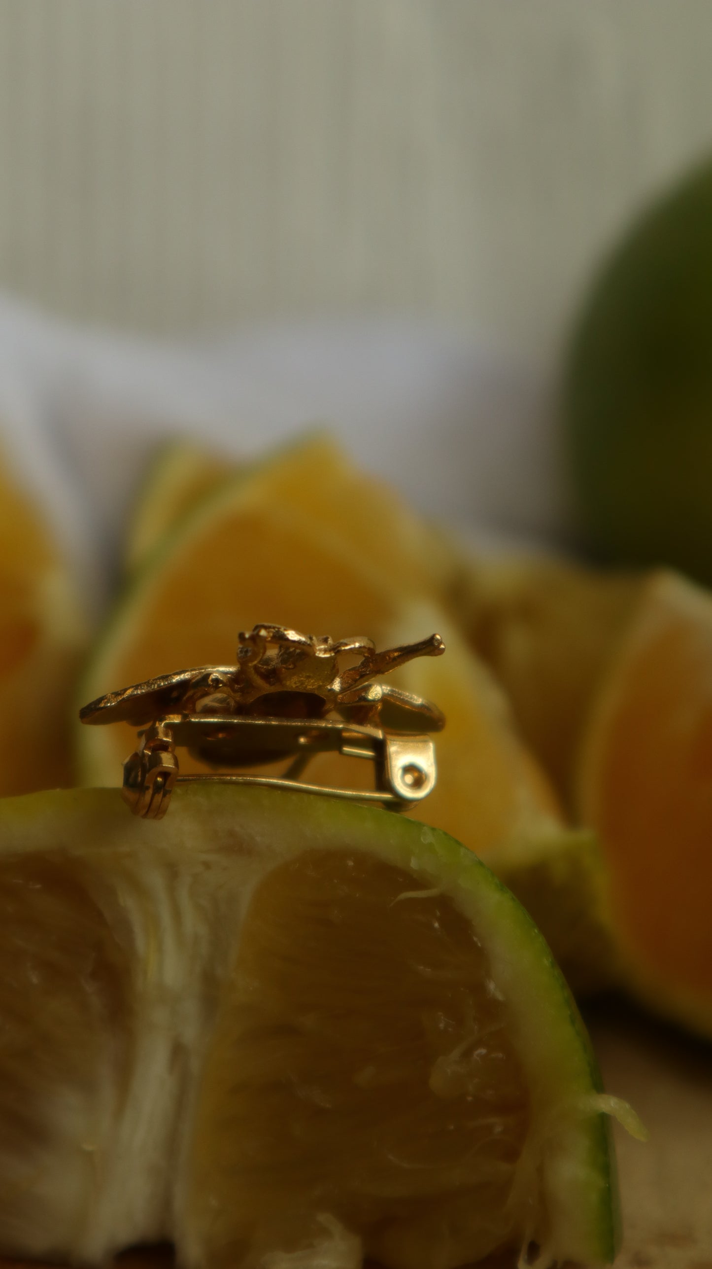 Lady Luck Brooch